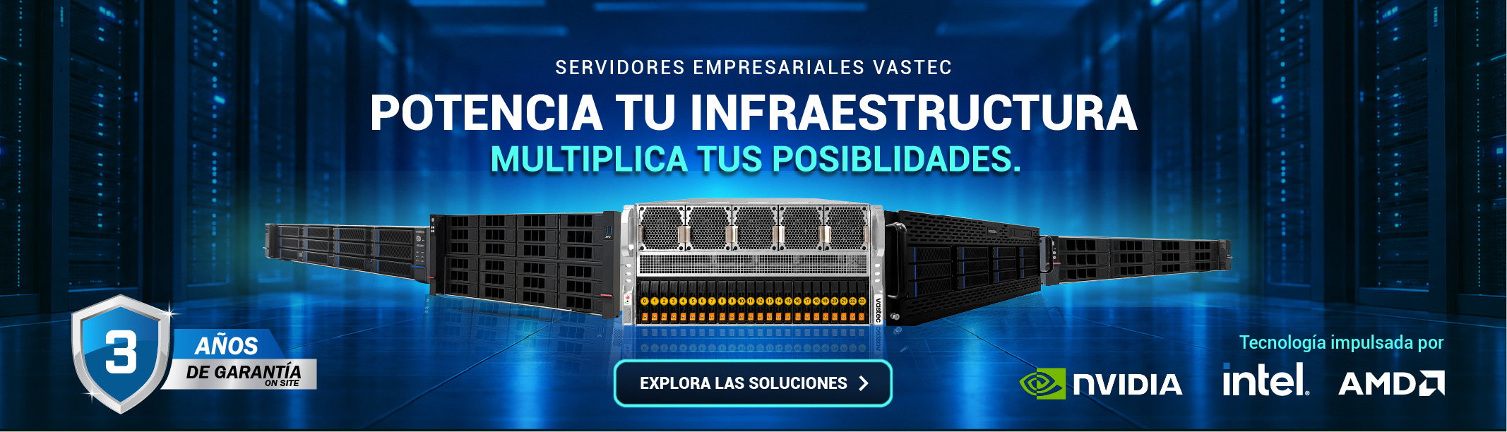Servidores Vastec