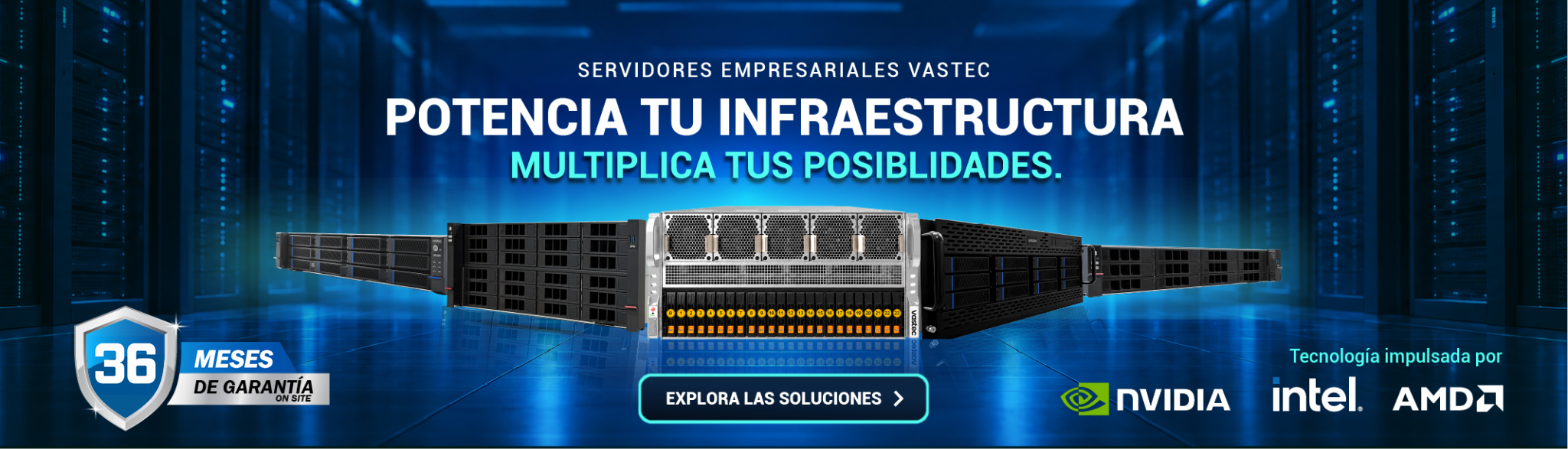 Servidores Vastec